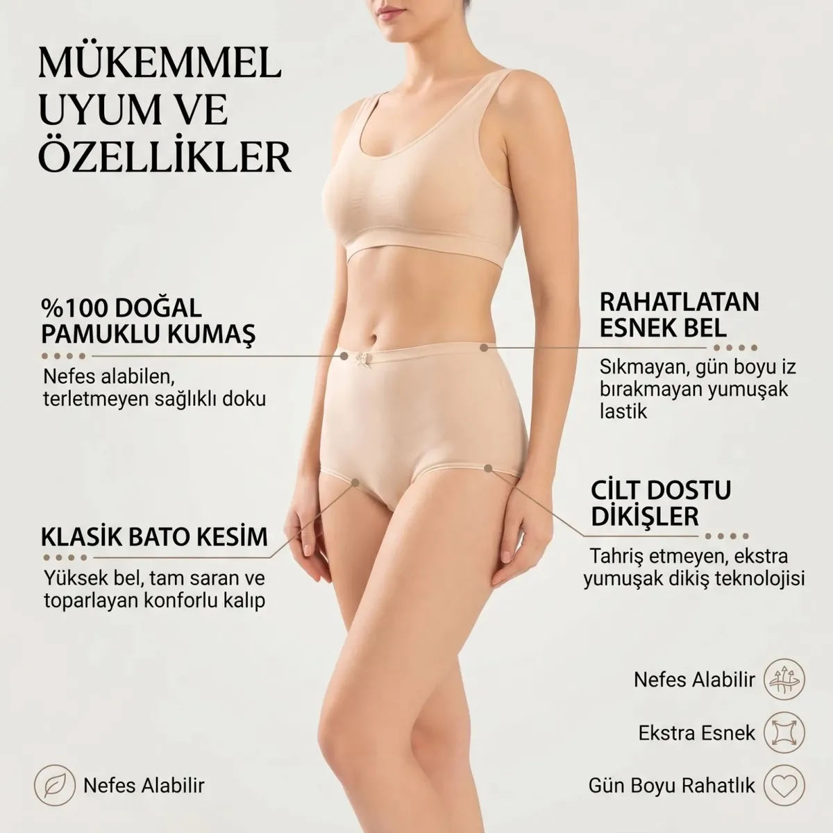 Kadın Pamuklu Düz Bato Külot Paket Siyah Beyaz Ten | Normal Bel Klasik Kesim Günlük İç Çamaşırı görseli